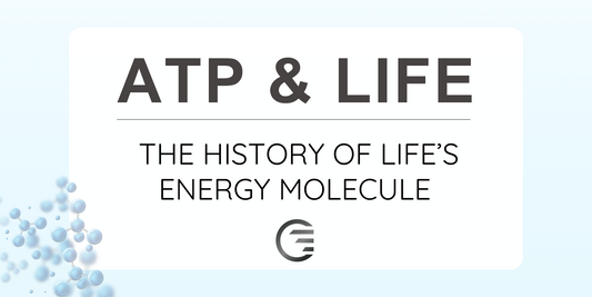 ATP is the Most Important Molecule of Life