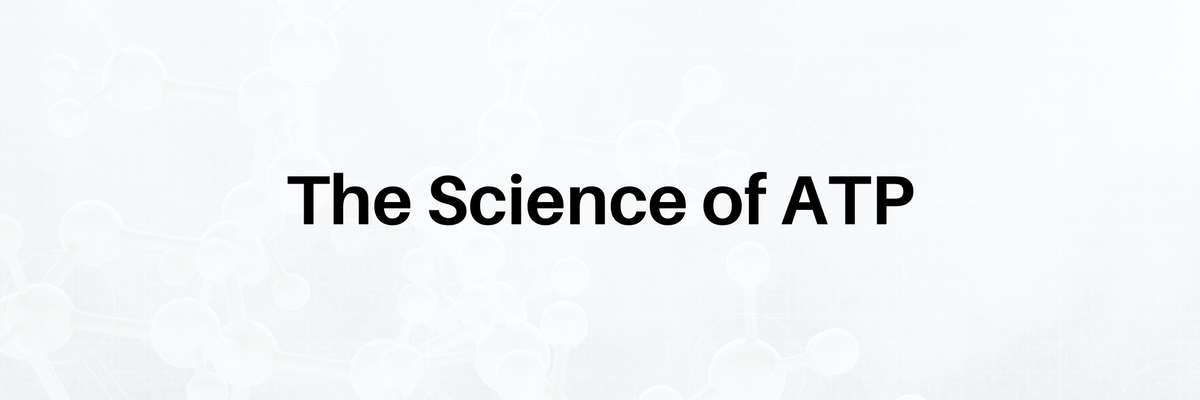 The Science of ATP – Energy Delivery Solutions
