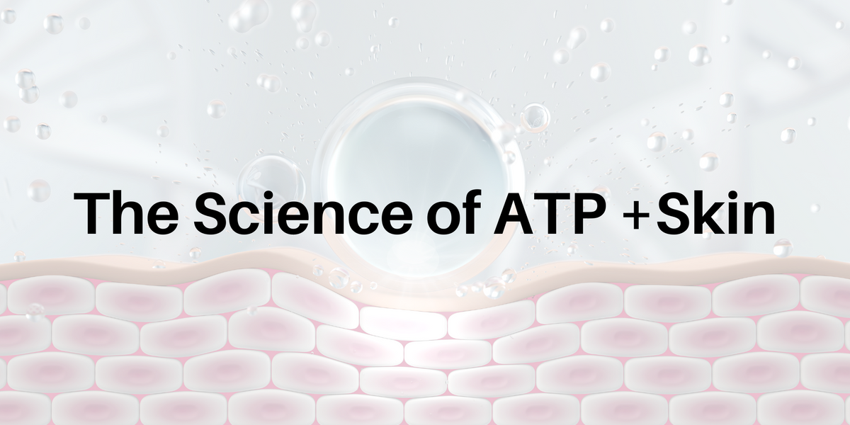 Atp Science The Science: ATP and Skin – Energy Delivery Solutions